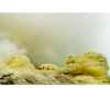SCRUBBER - Image 7
